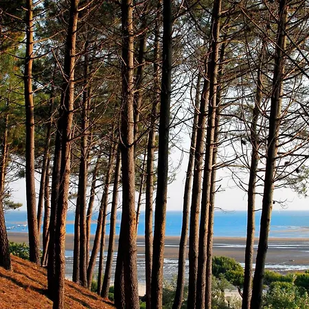 Apartamento Proche Pour 2 Pers Avec Parking - Fr-1-420-159 Arcachon