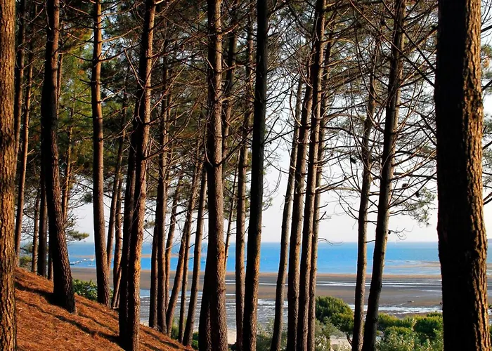 Appartamento Proche Pour 2 Pers Avec Parking - Fr-1-420-159 Arcachon